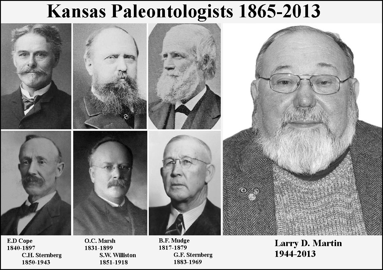 Oceans of Kansas Paleontology